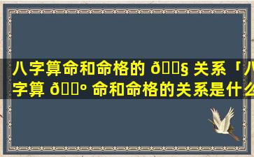 八字算命和命格的 🐧 关系「八字算 🐺 命和命格的关系是什么」